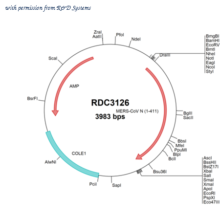 R&D Systems RDC3126 image 1