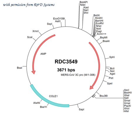 R&D Systems RDC3549 image 1