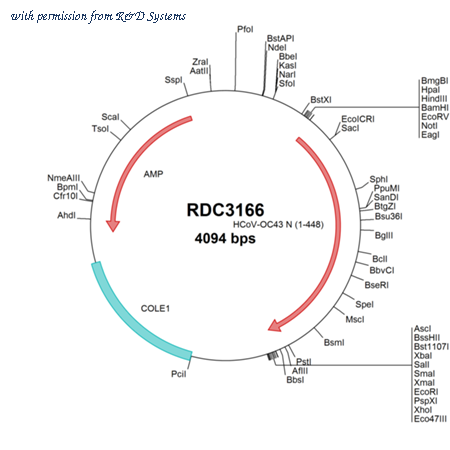 R&D Systems RDC3166 image 1