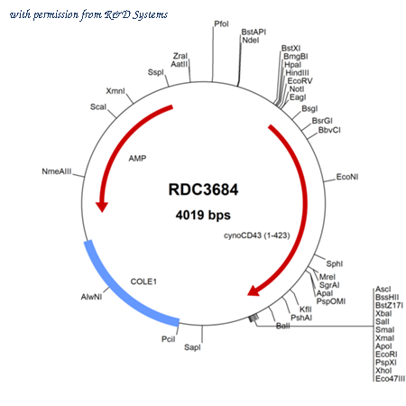 R&D Systems RDC3684 image 1