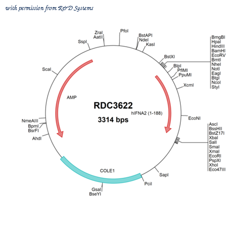 R&D Systems RDC3622 image 1