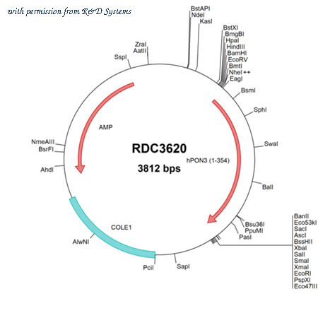R&D Systems RDC3620 image 1