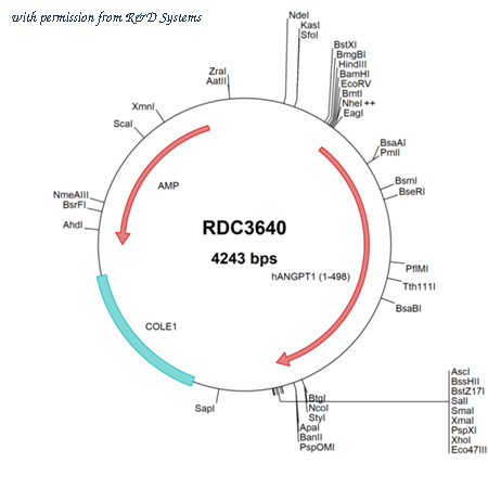 R&D Systems RDC3640 image 1