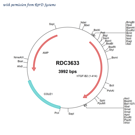 R&D Systems RDC3633 image 1