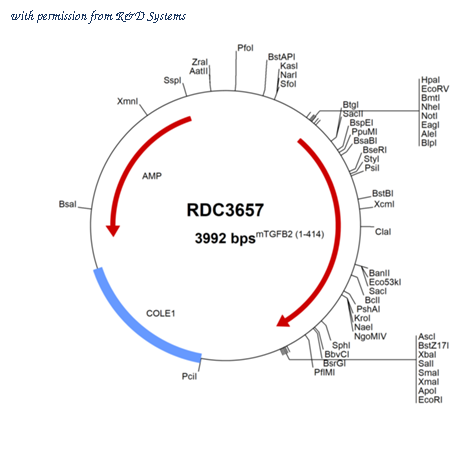 R&D Systems RDC3657 image 1
