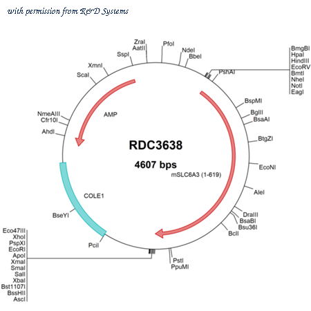 R&D Systems RDC3638 image 1
