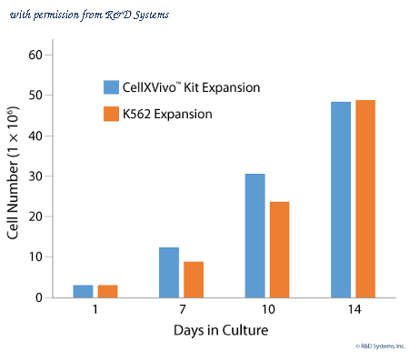 R&D Systems CDK015 image 1