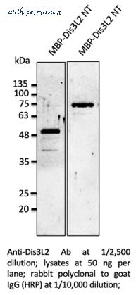 SICGEN AB0289-100 image 1