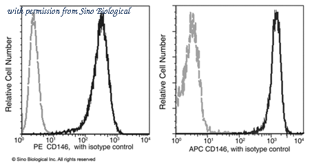 Sino Biological 10115-R044-P image 1