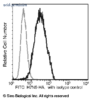 Sino Biological 11082-R002-F image 1