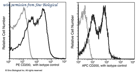 Sino Biological 50074-R002-P image 1