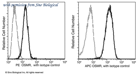 Sino Biological 11226-R002-P image 1