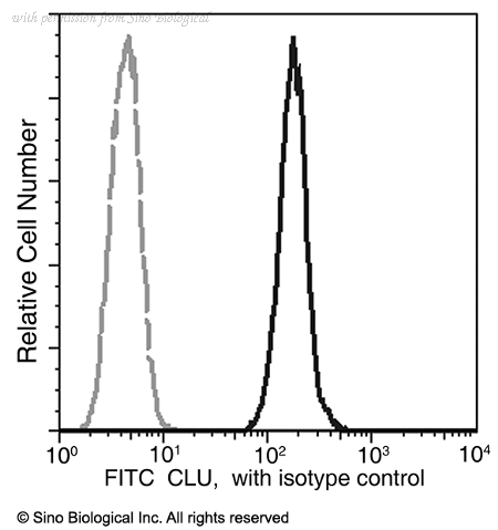 Sino Biological 11297-MM01-F image 1