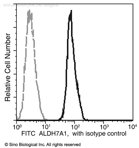 Sino Biological 11614-R101-F image 1