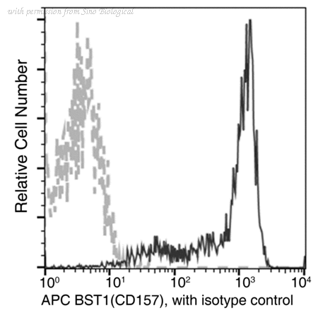 Sino Biological 10060-MM19-A image 1