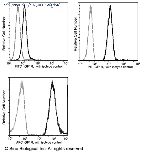 Sino Biological 10164-R012-A image 1