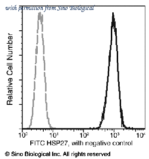 Sino Biological 10351-MM09-F image 1