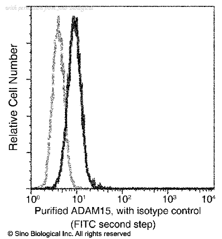 Sino Biological 10517-MM11 image 1