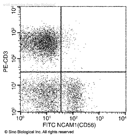 Sino Biological 10673-MM01-F image 1