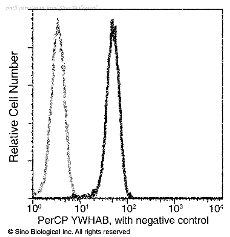 Sino Biological 10843-MM03-C image 1