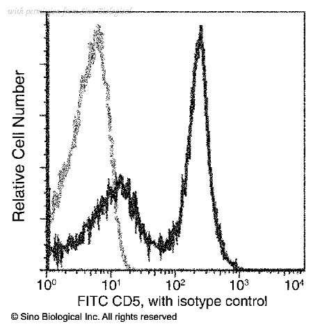 Sino Biological 11027-R028-F image 1