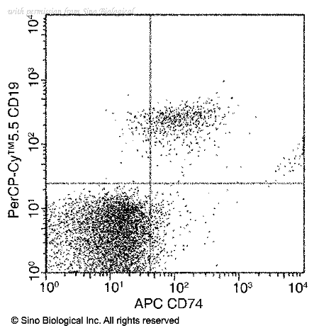 Sino Biological 11091-M101-A image 1