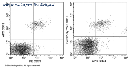 Sino Biological 11091-M101-P image 1