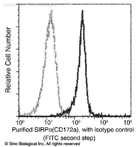 Sino Biological 11612-MM03 image 1