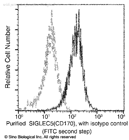 Sino Biological 11798-R110 image 1