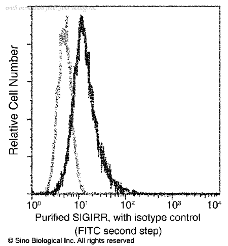 Sino Biological 12165-R010 image 1