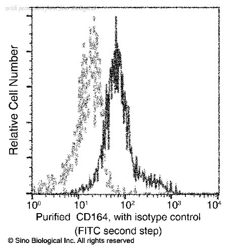 Sino Biological 12260-R006 image 1