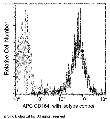 Sino Biological 12260-R006-A image 1
