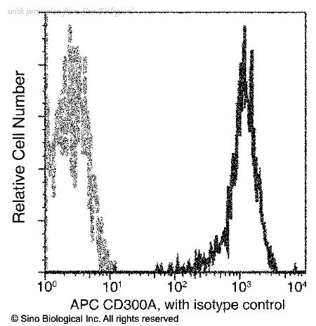 Sino Biological 12449-MM01-A image 1