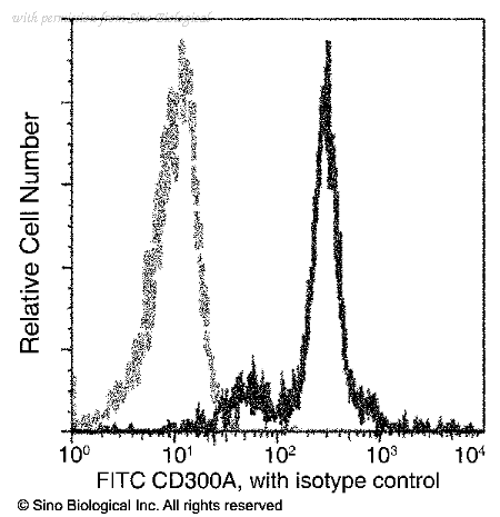 Sino Biological 12449-MM01-F image 1