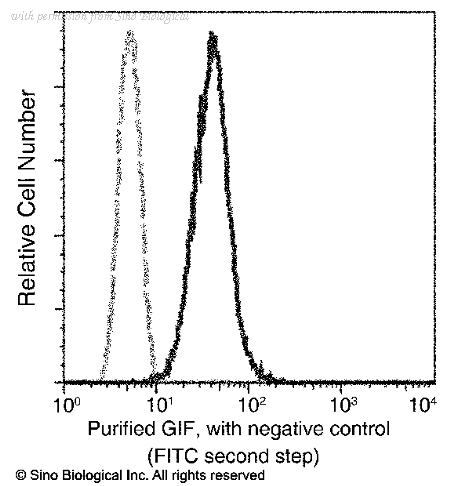 Sino Biological 13544-R007 image 1
