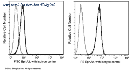 Sino Biological 50586-R301-P image 1