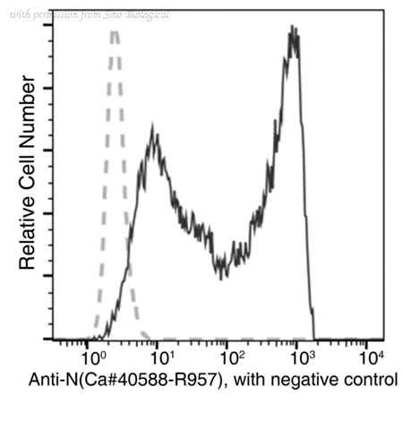 Sino Biological 40588-R957 image 1