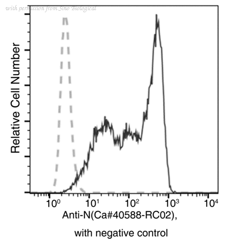 Sino Biological 40588-RC02 image 1