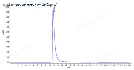 Sino Biological 11077-H41H-B image 1
