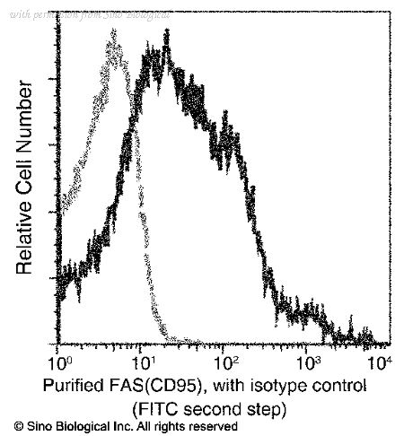Sino Biological 80043-R028 image 1