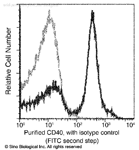 Sino Biological 80151-MM01 image 1