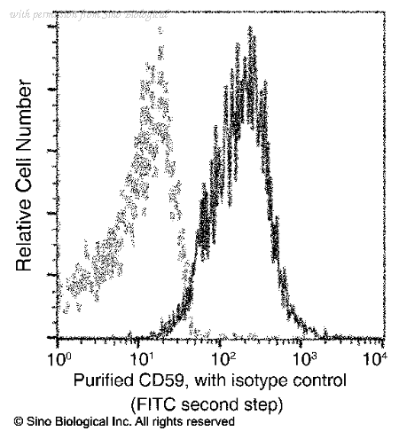 Sino Biological 80299-R014 image 1