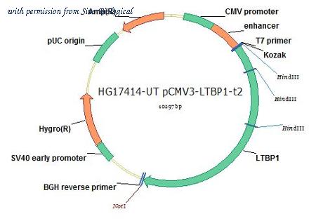 Sino Biological HG17414-UT image 1