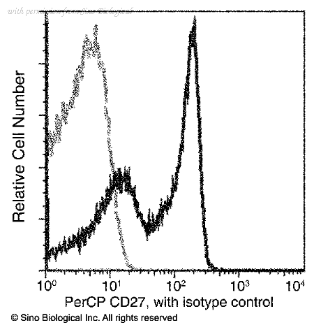 Sino Biological 10039-MM09-C image 1