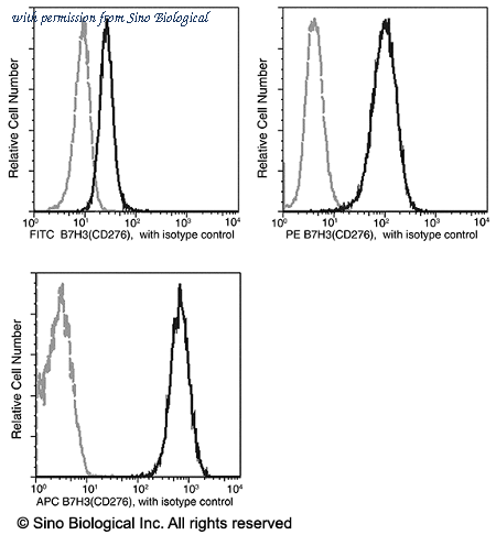 Sino Biological 11188-MM06-A image 1