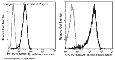 Sino Biological 11611-MM09-P image 1