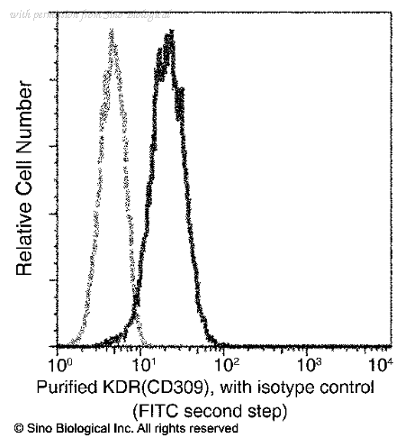 Sino Biological 50998-R004 image 1
