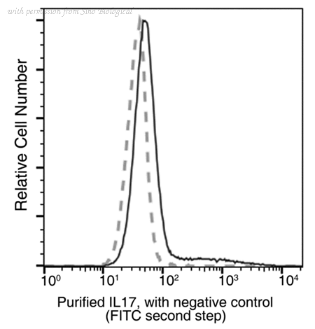 Sino Biological 51065-R217 image 1