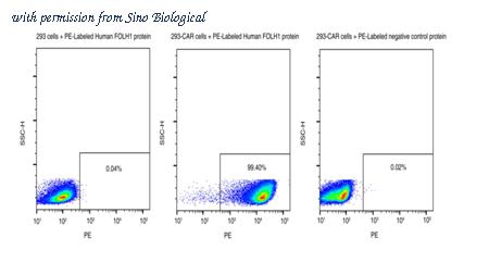 Sino Biological 15877-H85C-SP image 1