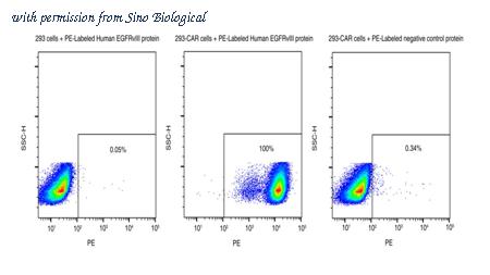 Sino Biological 29662-H86H-SP image 1